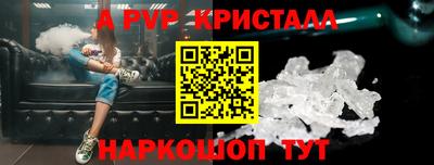 гашик Кингисепп