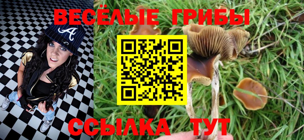 Псилоцибиновые грибы мухоморы Щёкино