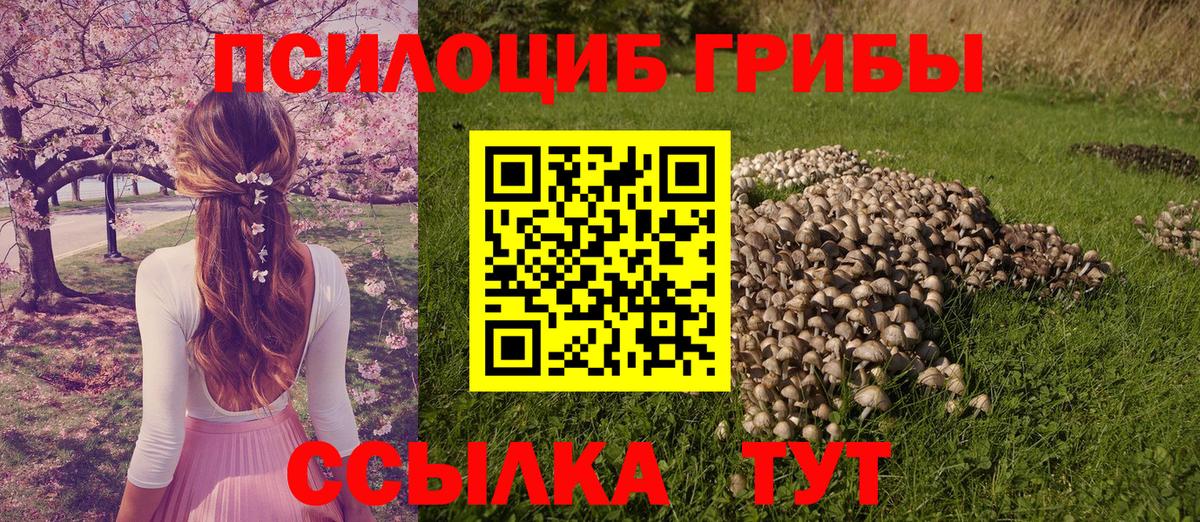 Псилоцибиновые грибы прущие грибы  Вход с VPN  Щёкино 